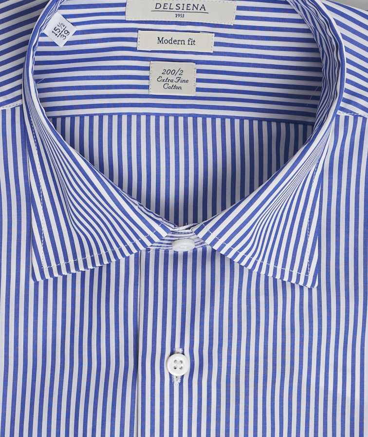 camicie delsiena